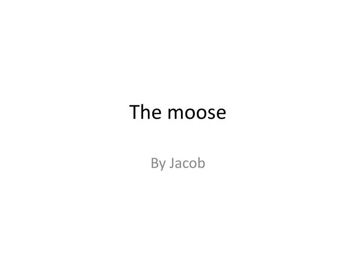 the moose