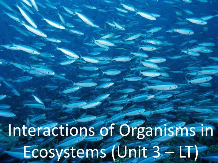 interactions of organisms in ecosystems unit 3 lt