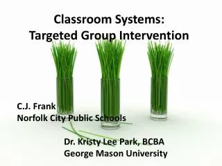 Classroom Systems: Targeted Group Intervention