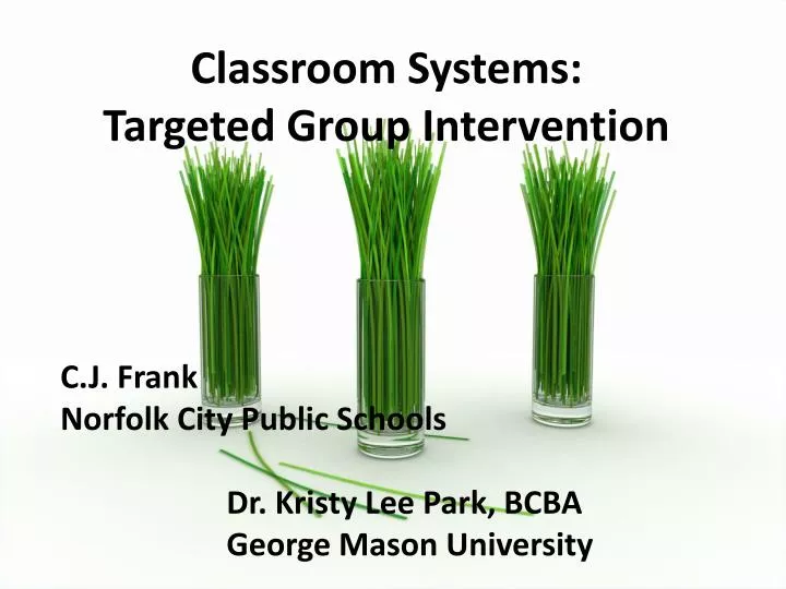 classroom systems targeted group intervention