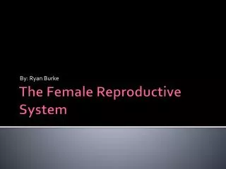 The Female Reproductive System