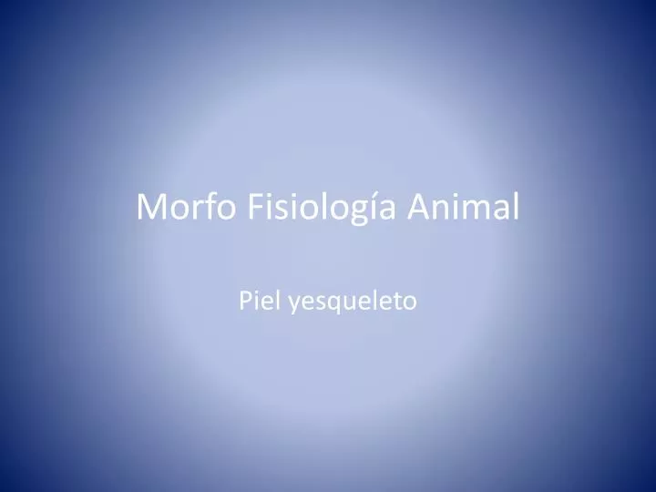 morfo fisiolog a animal