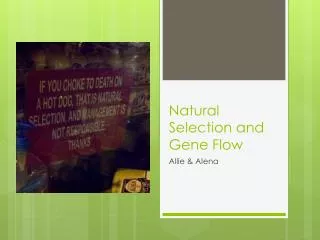 Natural Selection and Gene Flow