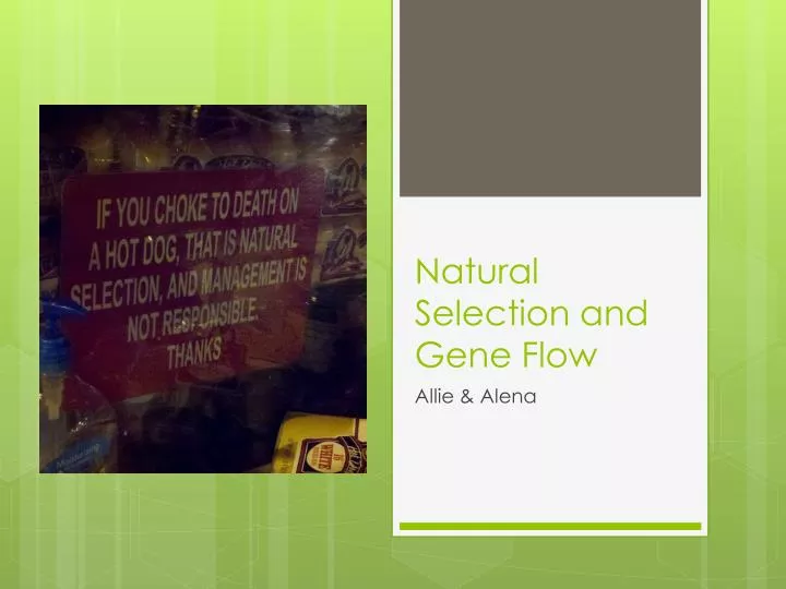 natural selection and gene flow