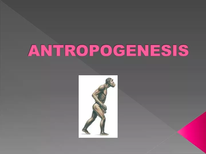 antropogenesis