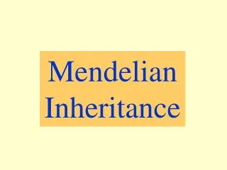 Mendelian Inheritance