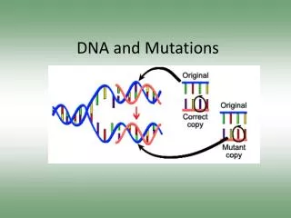 DNA and Mutations
