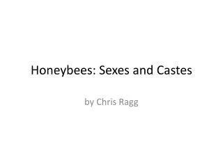 Honeybees: Sexes and Castes