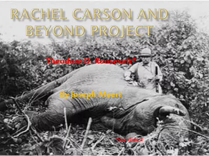 rachel carson and beyond project