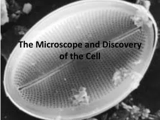 The Microscope and Discovery of the Cell