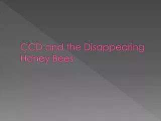 CCD and the Disappearing Honey Bees