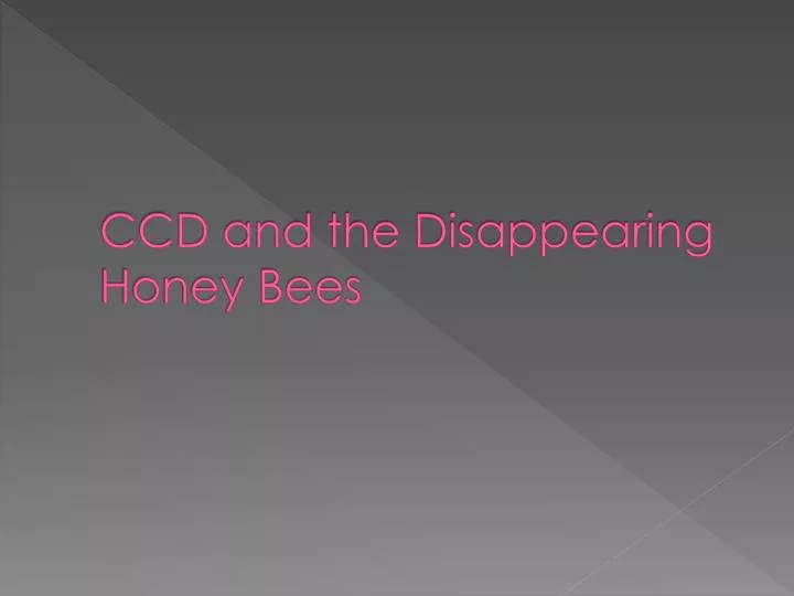 ccd and the disappearing honey bees