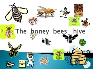 The honey bees hive