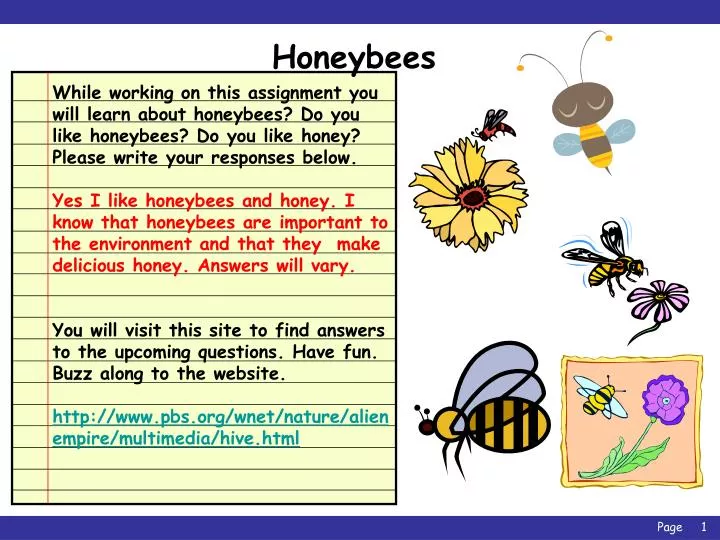 honeybees