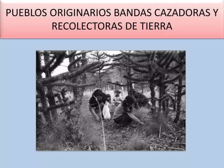 pueblos originarios bandas cazadoras y recolectoras de tierra