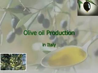 Olive oil Production