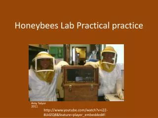 Honeybees Lab Practical practice
