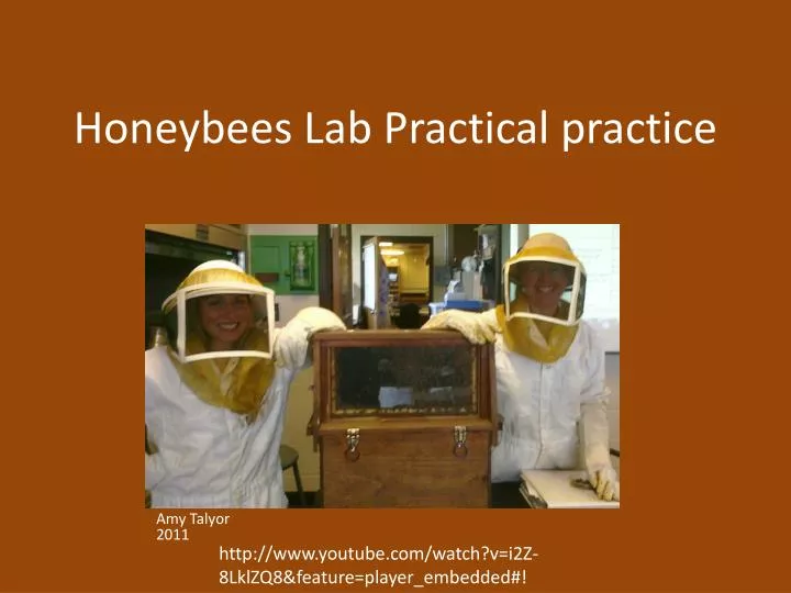 honeybees lab practical practice
