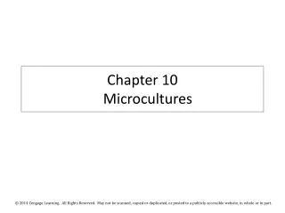 Chapter 10 Microcultures
