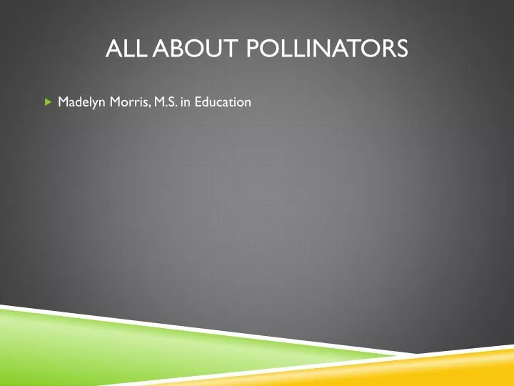 all about pollinators