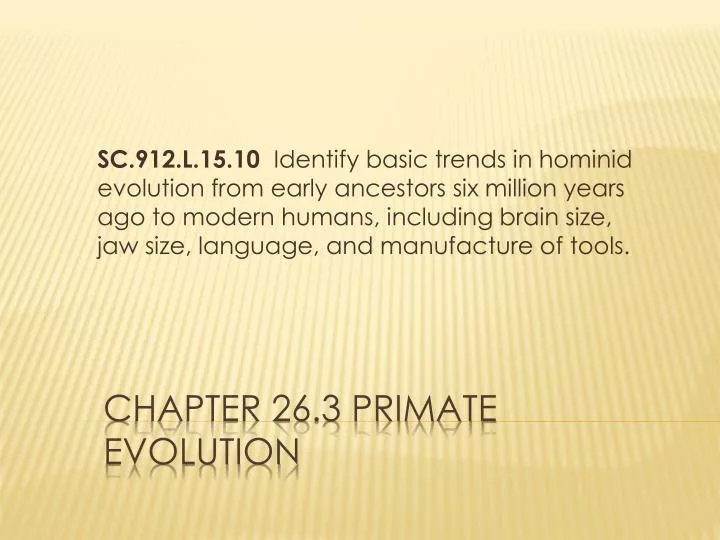 chapter 26 3 primate evolution