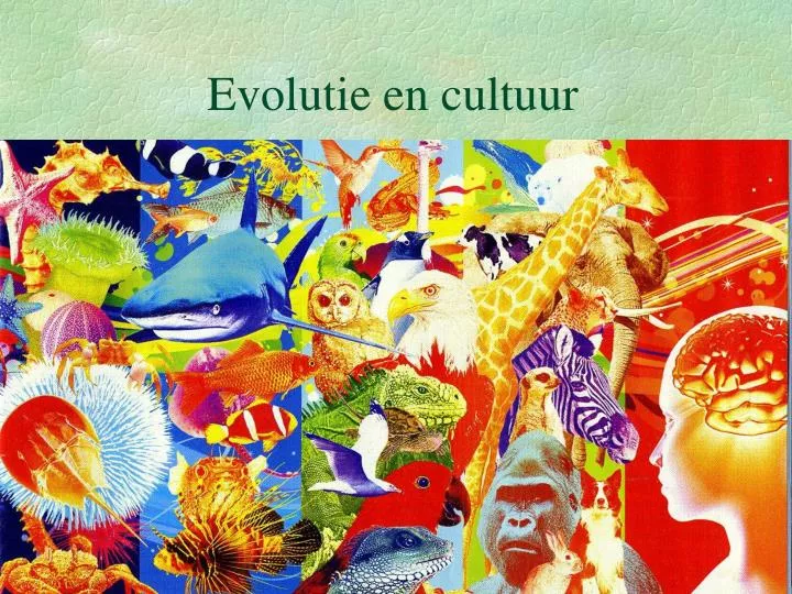 evolutie en cultuur