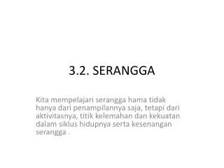 3 2 serangga