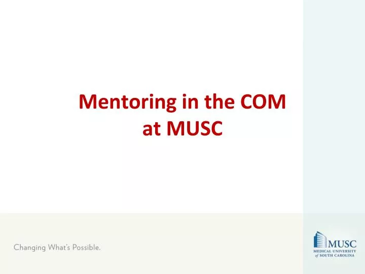 mentoring in the com at musc