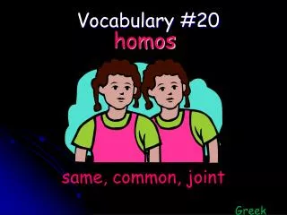 Vocabulary #20