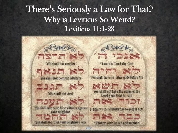 there s seriously a law for that why is leviticus so weird leviticus 11 1 23