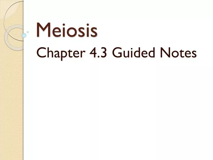 meiosis