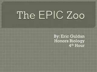 The EPIC Zoo