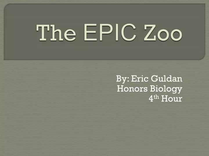 the epic zoo