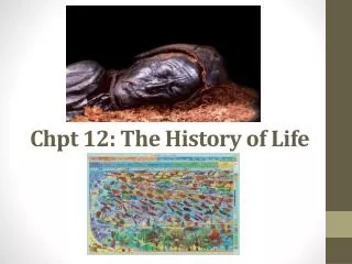 Chpt 12: The History of Life