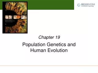 Population Genetics and Human Evolution