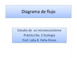 diagrama de flujo