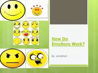 How Do Emotions Work?