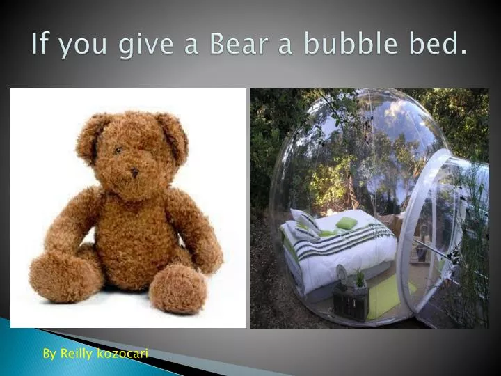 if you give a bear a bubble bed
