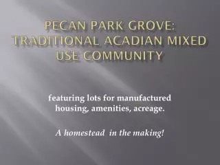 Pecan Park Grove: Traditional Acadian Mixed Use Community