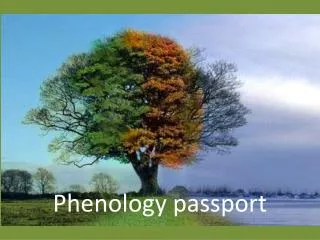 Phenology passport