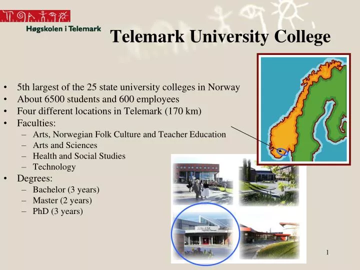 telemark university college
