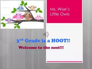 3 rd Grade is a HOOT!!