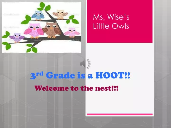 3 rd grade is a hoot