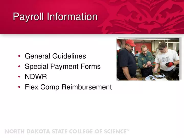 payroll information