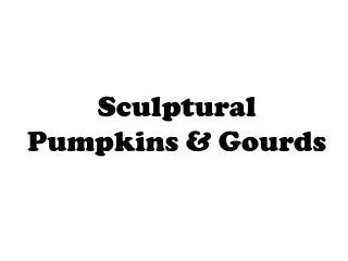 Sculptural Pumpkins &amp; Gourds