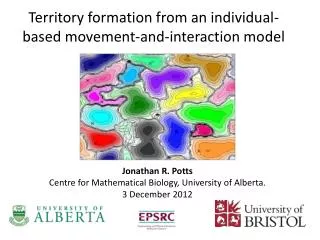 Territory formation from an individual-based movement-and-interaction model