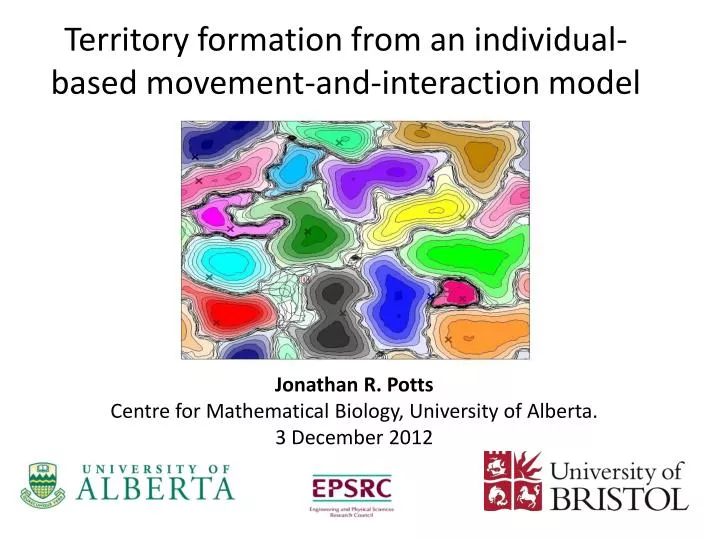 territory formation from an individual based movement and interaction model