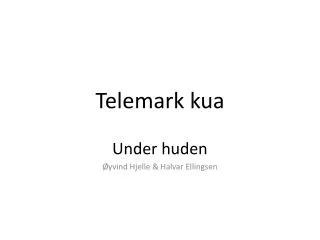 telemark kua