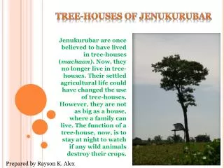 Tree-Houses of Jenukurubar