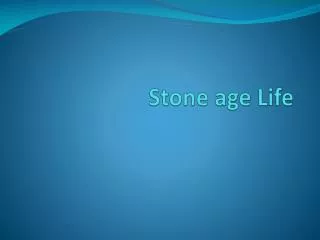 Stone age Life